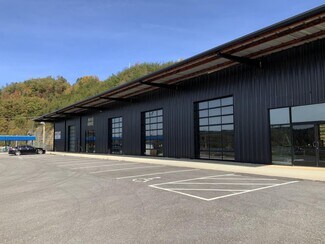 Plus de détails pour 141 Luther Seiber Blvd, Pioneer, TN - Industriel/Logistique à vendre