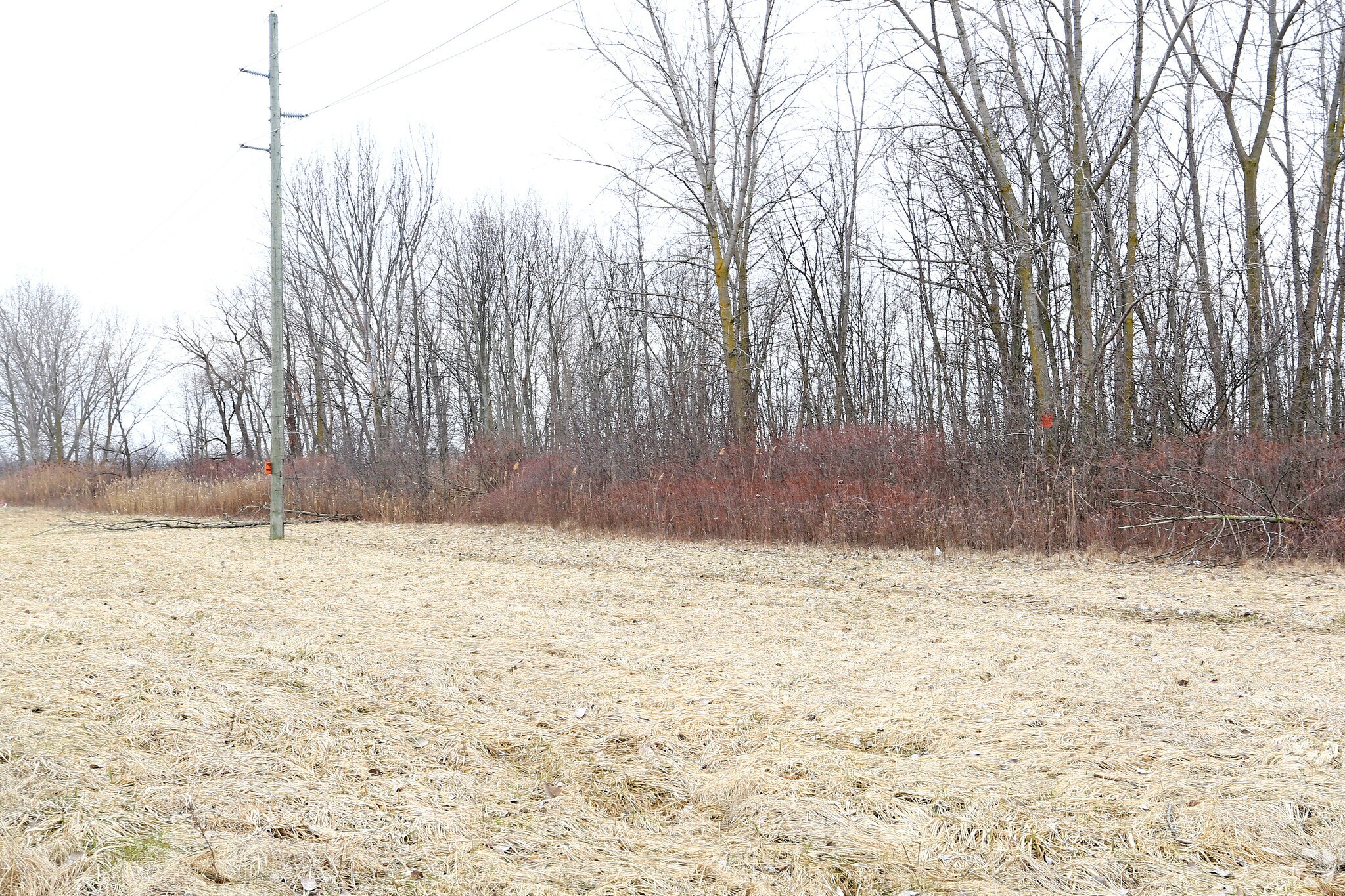 9693 Shortcut Rd, Marine City, MI à vendre Photo principale– Image 1 sur 5