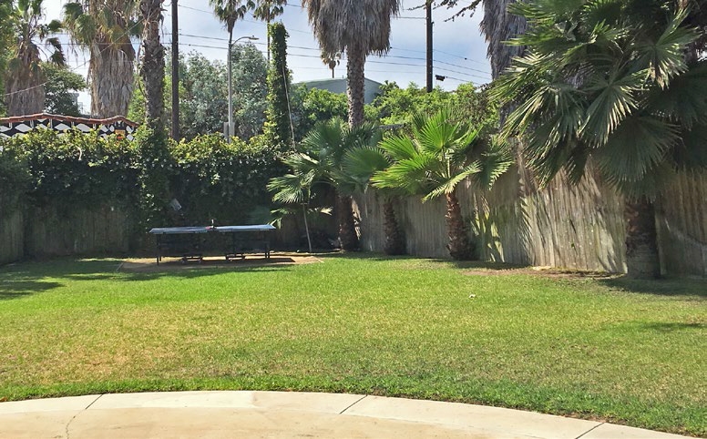 522 Venice Blvd, Venice, CA à louer - Photo de l’immeuble – Image 3 sur 5