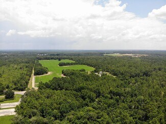 Plus de détails pour 33990 US Hwy 31, Spanish Fort, AL - Terrain à vendre