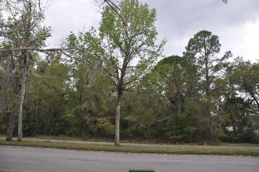 965 Candlelight Blvd, Brooksville, FL à vendre - Photo de l’immeuble – Image 3 sur 12
