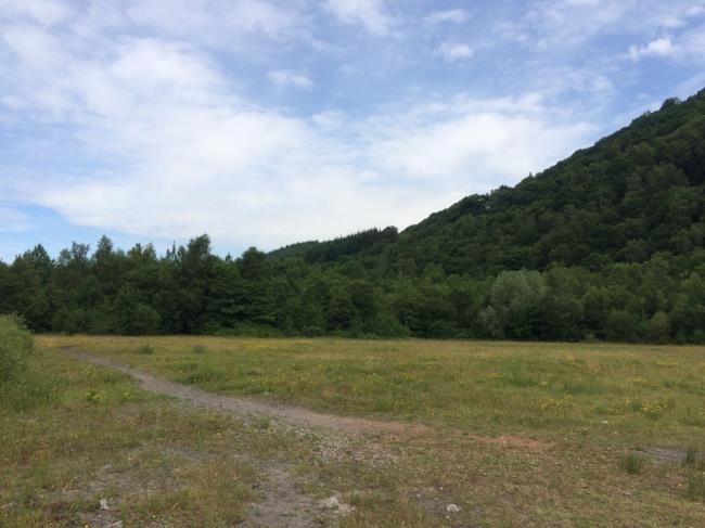 Mountain Ash, Mountain Ash à vendre - Autre – Image 2 sur 3