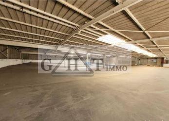 Industriel/Logistique dans La Ville-du-Bois à vendre - Photo intérieure – Image 3 sur 10