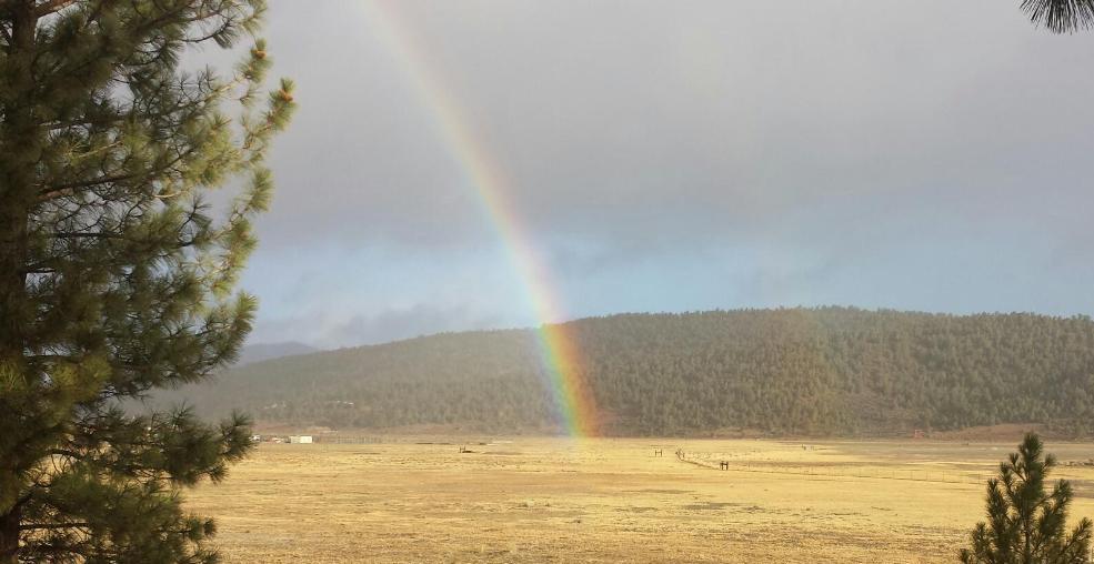 2805 Cedar, Big Bear City, CA à vendre Photo principale– Image 1 sur 3