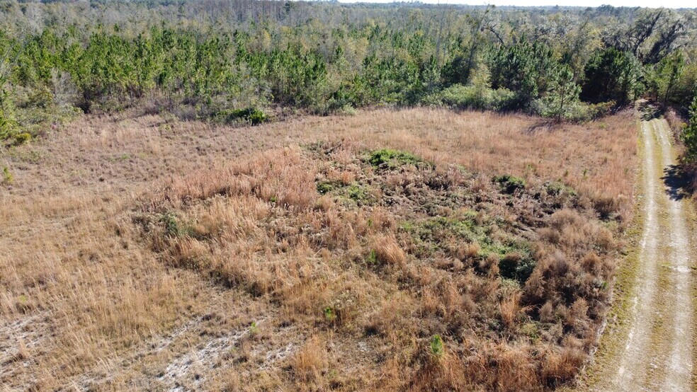 0000 McMillan Rd & Skipper Bridge Rd, Hahira, GA à vendre - Aérien – Image 2 sur 16
