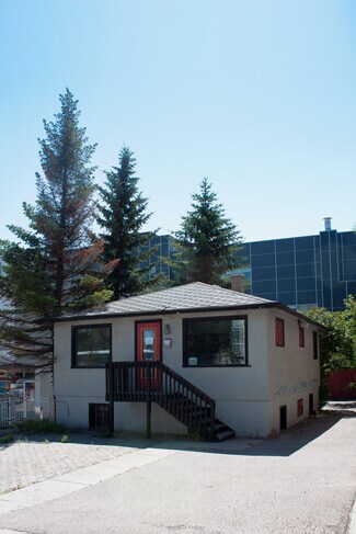 Plus de détails pour 2409 33 Ave, Calgary, AB - Local commercial à louer