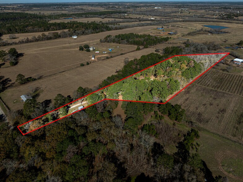 11201 County Road 203, Plantersville, TX à vendre - Photo de l’immeuble – Image 2 sur 63