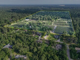 Plus de détails pour 15629 Knotty Oaks Trl, Magnolia, TX - Terrain à vendre