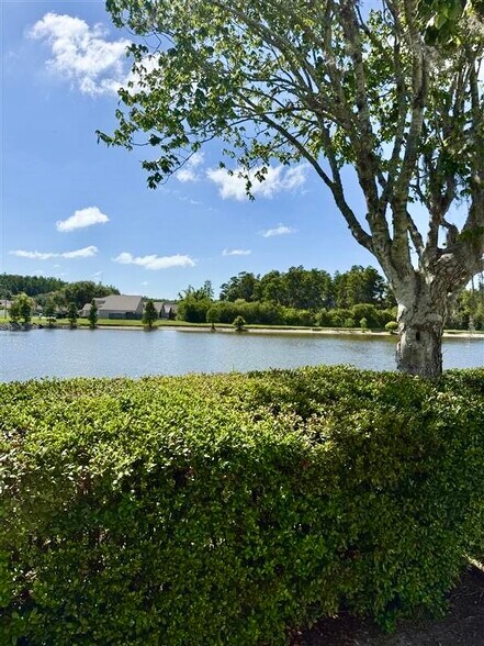 4411-4425 Rowan Rd, New Port Richey, FL à louer - Photo de l’immeuble – Image 2 sur 17
