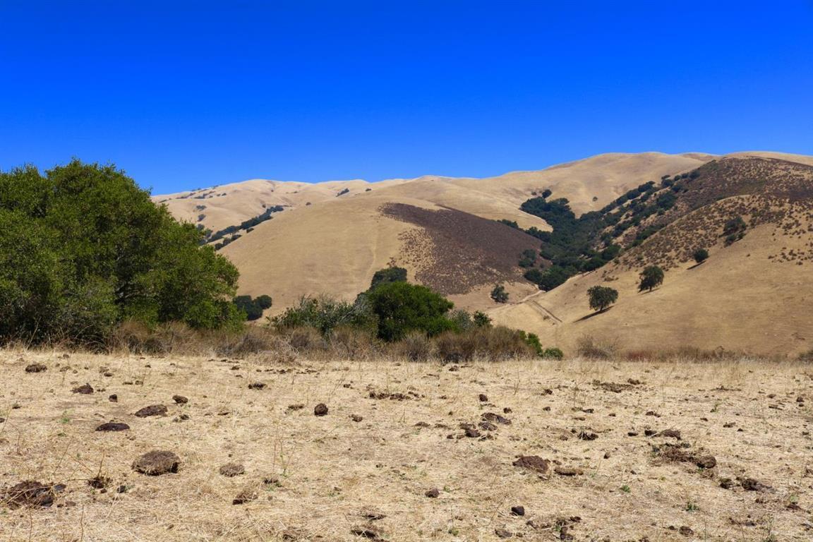 View Photo