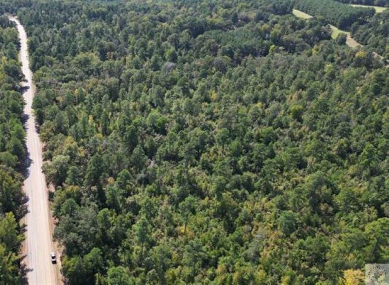 TBD County Road 4122 and Texas 43 hwy, Atlanta, TX à vendre - Photo principale – Image 1 sur 3