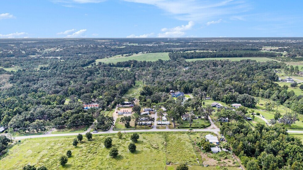 14638 Treeleaf Ln, Dade City, FL à vendre - Photo de l’immeuble – Image 3 sur 4