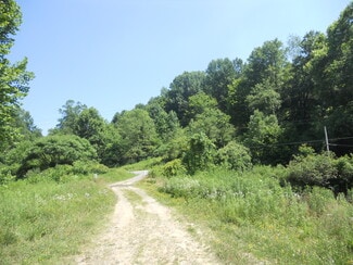 Plus de détails pour 595 Wades Run Rd, Morgantown, WV - Terrain à vendre