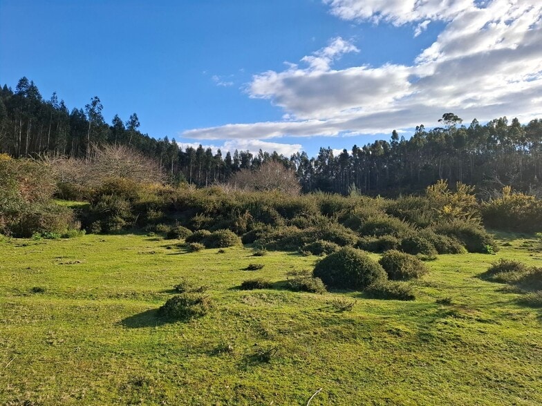 Acevedo, Oia, Pontevedra à vendre - Photo de l’immeuble – Image 1 sur 42