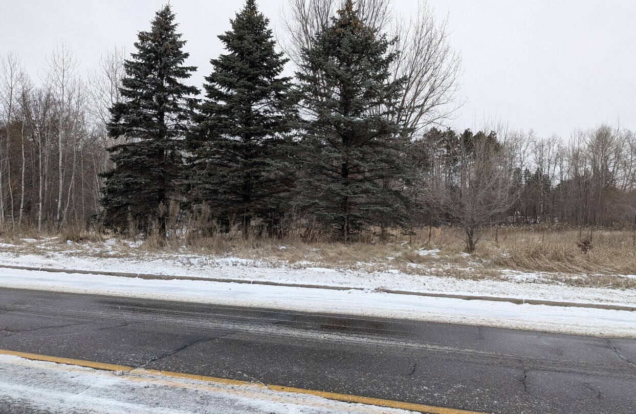1351 Klondike Drive Northeast, East Bethel, MN à vendre Autre– Image 1 sur 4