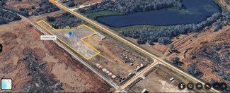 Plus de détails pour 2606 Cozart Rd., Mulberry, FL - Terrain à louer