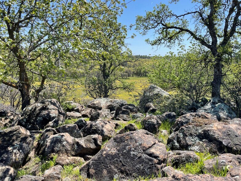 295 Honey Run Road run, Chico, CA à vendre - Autre – Image 3 sur 12