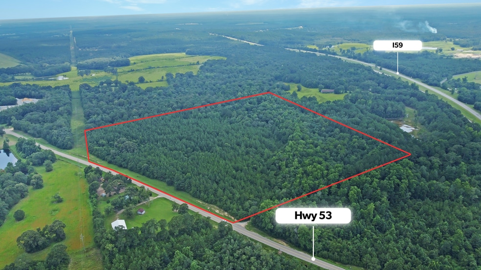 0 Highway 53, Poplarville, MS à vendre - Autre – Image 2 sur 5