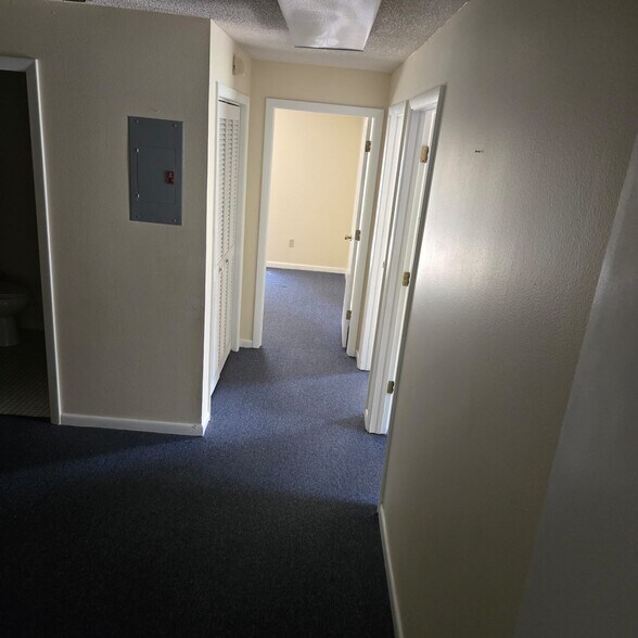 330 W Bearss Ave, Tampa, FL à louer - Photo de l’immeuble – Image 3 sur 5