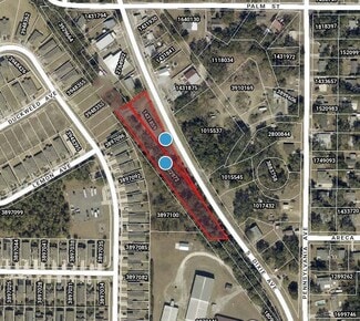 Plus de détails pour Dixie Avenue, Fruitland Park, FL - Terrain à vendre