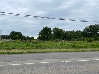 Plus de détails pour 0 Angola Road, Coldwater, MI - Terrain à vendre