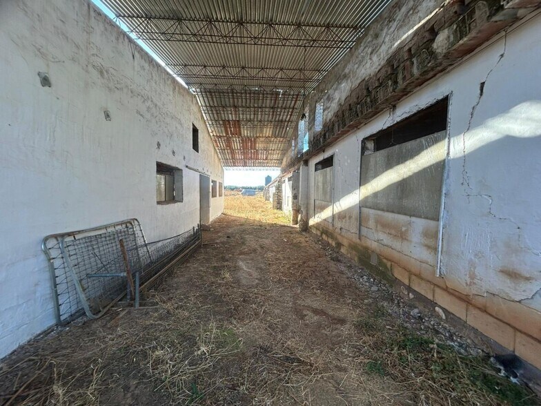 Industriel/Logistique dans Polán, Toledo à vendre - Photo de l’immeuble – Image 3 sur 14