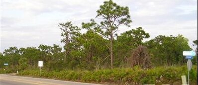 12212 Stringfellow Rd, Bokeelia, FL à vendre - Photo principale – Image 1 sur 1
