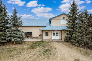 Plus de détails pour 41090 Cook Rd, Rocky View No 44, AB - Local d’activités à vendre