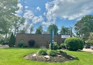 Plus de détails pour 8585 East Ave, Mentor, OH - Bureau à louer