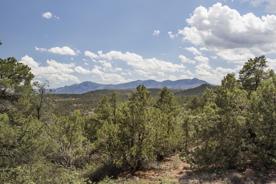 1250 W. Airport Rd, Payson, AZ à vendre - Photo de l’immeuble – Image 1 sur 13