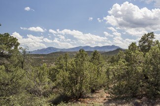 Plus de détails pour 1250 W. Airport Rd, Payson, AZ - Terrain à vendre