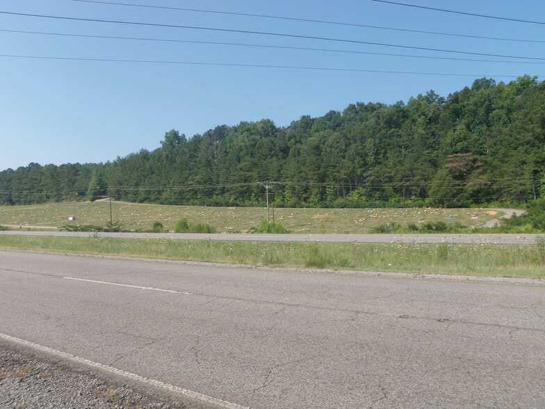 1230 Minor Pky, Birmingham, AL à vendre - Photo principale – Image 1 sur 3