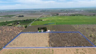 Plus de détails pour 2150 N Fine Road, Linden, CA - Terrain à vendre