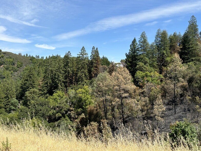 4901 Stewarts Point Skaggs Springs Road, Geyserville, CA à vendre - Photo de l’immeuble – Image 3 sur 9