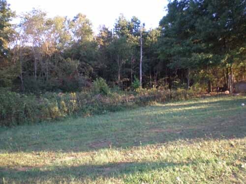 8137 Jefferson Rd, Athens, GA à vendre - Photo principale – Image 1 sur 22