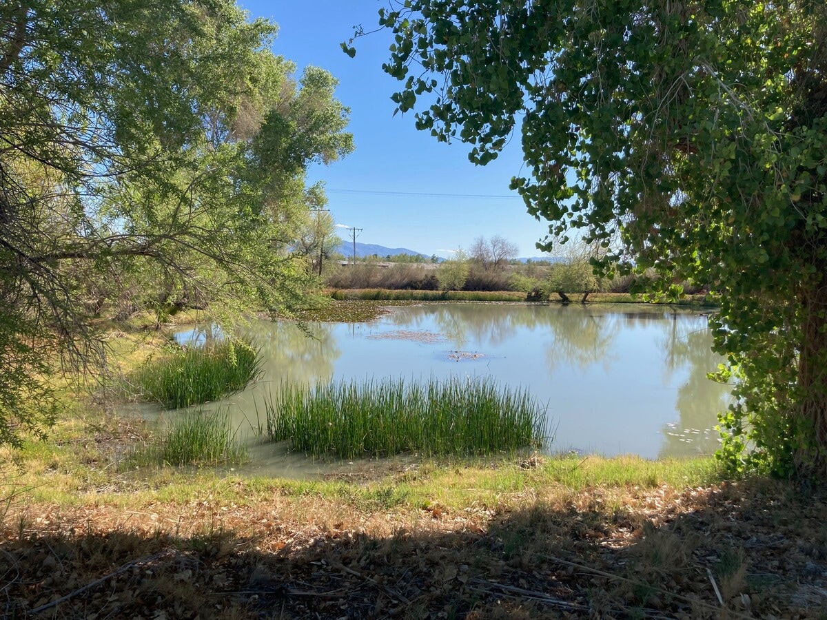 View Photo