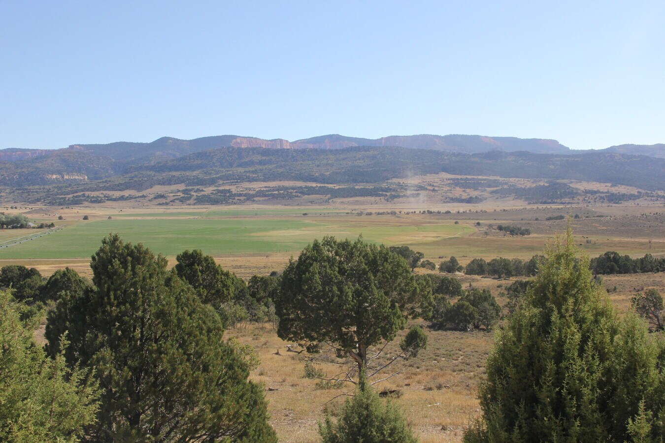 View Photo