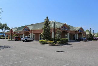 Plus de détails pour 21760-21776 State Road 54, Lutz, FL - Local commercial à louer