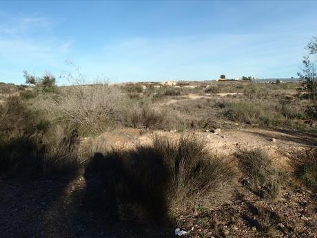 Terrain dans Molina de Segura, Murcia à vendre - Plan de site – Image 3 sur 4