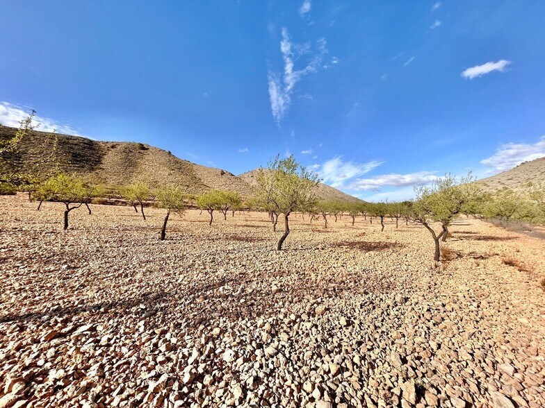 Terrain dans Orihuela, Alicante à vendre - Aérien – Image 2 sur 5