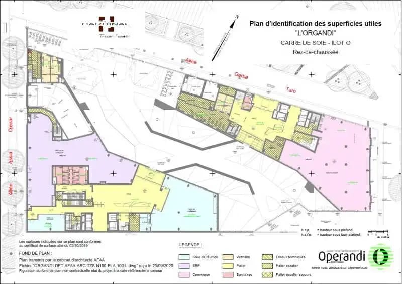 1 Esplanade Miriam Makeba, Villeurbanne à louer Plan d’étage– Image 1 sur 1
