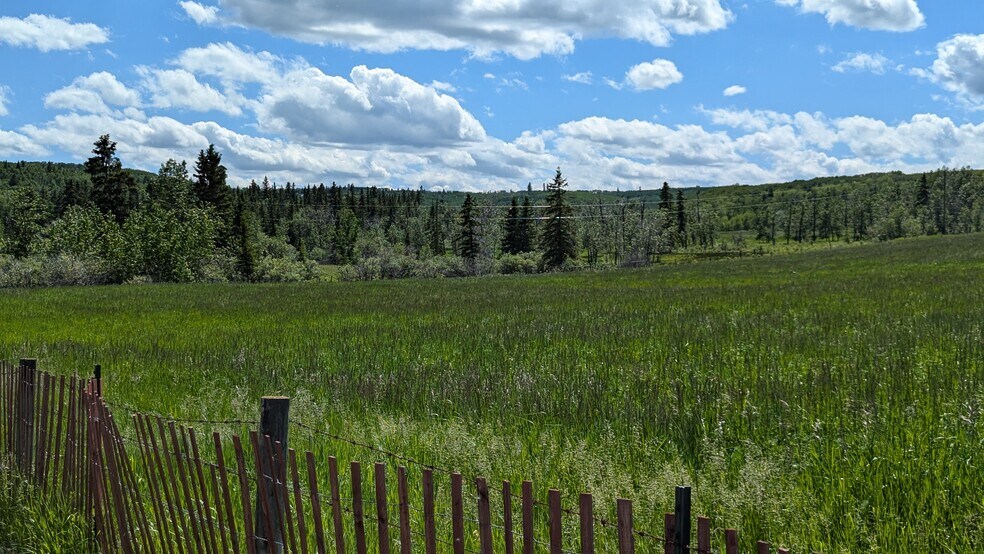 168027 179 Av W, Foothills, AB à vendre - Photo de l’immeuble – Image 3 sur 62