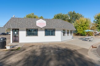 Plus de détails pour 970 Newton St, Baldwin, WI - Local commercial à vendre