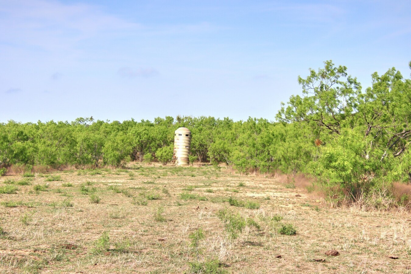 View Photo