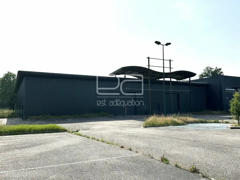 Local d'activités dans Dombasle-sur-Meurthe à vendre Photo de l’immeuble– Image 1 sur 12