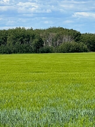 Plus de détails pour NE-17-72-6-W6, Grande Prairie, AB - Terrain à vendre