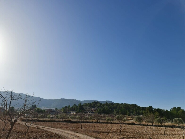Terrain dans Jumilla, Murcia à vendre - Photo principale – Image 3 sur 15
