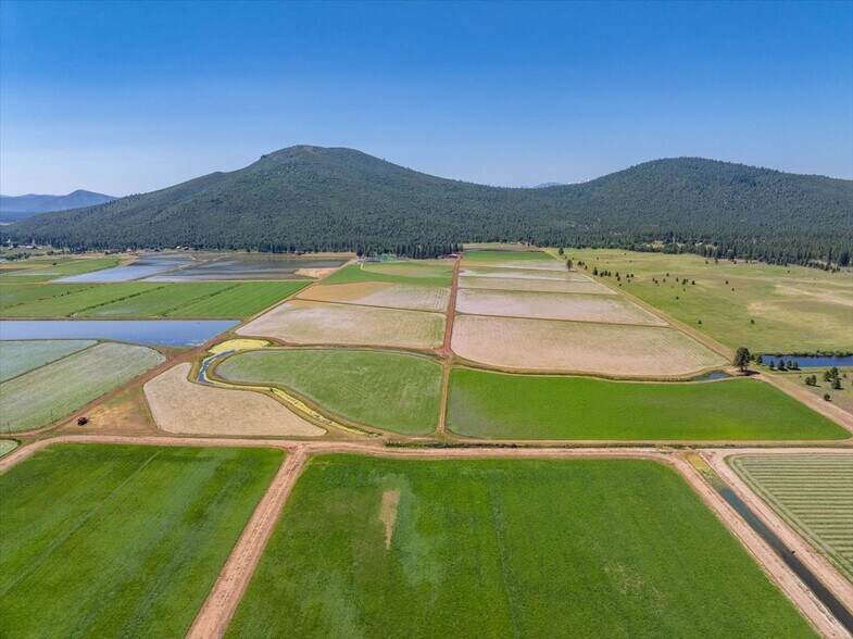 41494 Gomez Rd, Fall River Mills, CA à vendre - Photo de l’immeuble – Image 2 sur 92