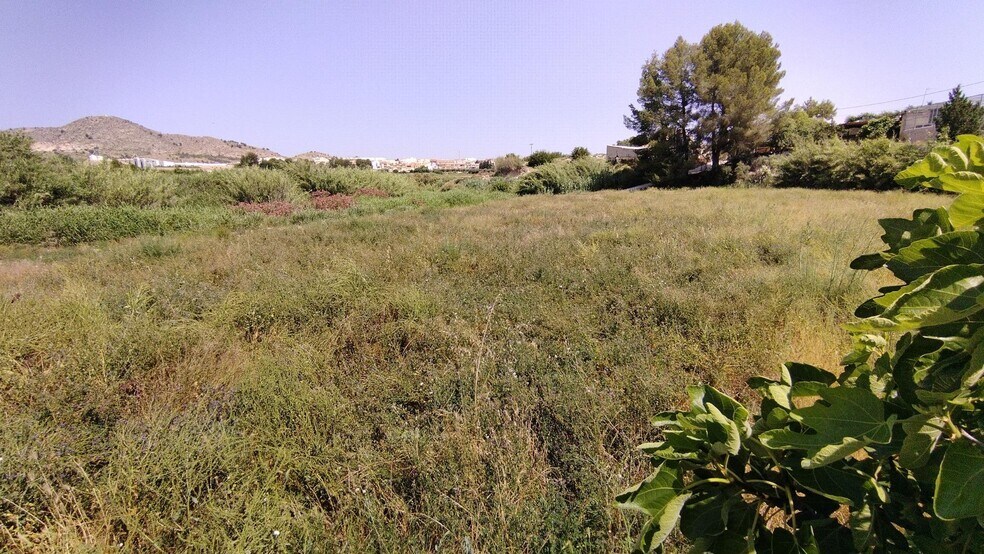 Terrain dans Calasparra, Murcia à vendre - Plan de site – Image 1 sur 9