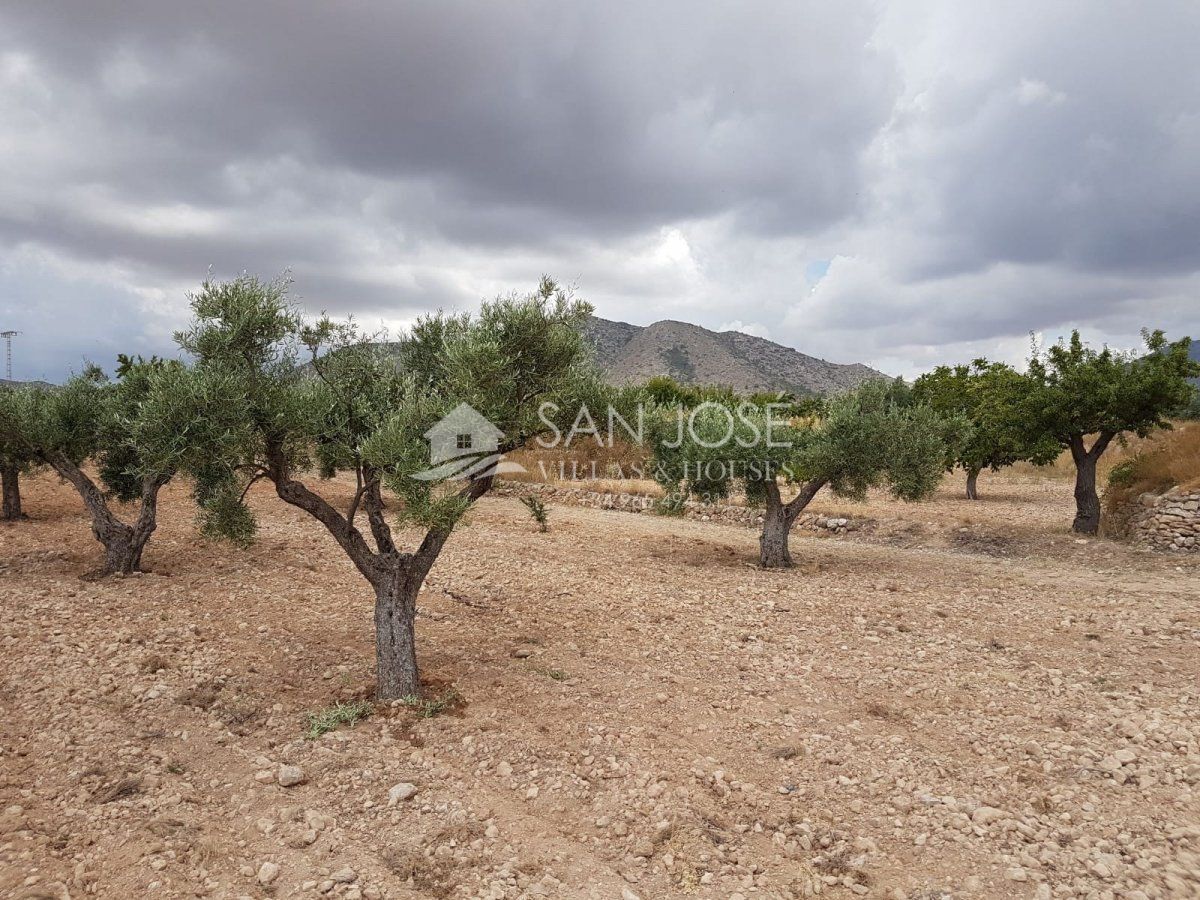 Terrain dans HONDÓN DE LAS NIEVES, Alicante à vendre Photo principale– Image 1 sur 3
